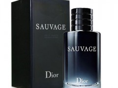 عطر مردانه ساویج برند دیور ( DIOR - SAUVAGE )