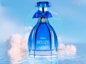 عطر و ادکلن زنانه بلیز میس برند الدی روی  ( ELODIE ROY  -   BELIZE MISS    )