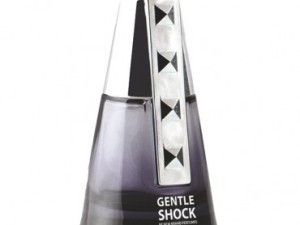 عطر و ادکلن مردانه جنتل شاک برند نیو برند  (  NEW BRAND  -  GENTLE SHOCK   )