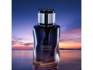 عطر و ادکلن مردانه جنتل الساتیس برند ریان تردیشن  ( REYANE TRADITION  -  GENTLE ELSATYS    )