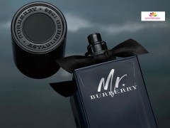 عطر مردانه مستر باربری ادو پارفوم برند باربری  ( BURBERRY -  MR.BURBERRY EAU DE PARFUM  )