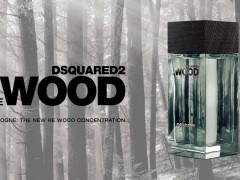 عطر مردانه هی وود کولون برند دیسکوآرد  ( DSQUARED - HE WOOD COLOGNE )