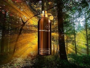 عطر و ادکلن زنانه و مردانه عود فارست برند مونتال  (  MONTALE   -  AOUD FOREST   )