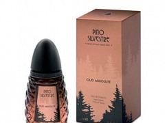 عطر و ادکلن مردانه عود ابسولوت برند پینو سیلوستر  (  PINO SILVESTRE  -  OUD ABSOLUTE    )