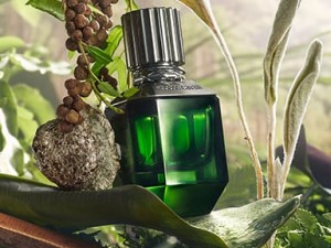 عطر و ادکلن مردانه پردایس فوند برند روبرتو کاوالی  ( ROBERTO CAVALLI  -  PARADISE FOUND FOR MEN    )