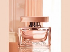 عطر زنانه دی اند جی – رز د وان (Dolce & Gabbana- Rose The One)
