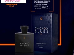 عطر و ادکلن مردانه چیکاگو بلوز برند ویتوریو بلوچی  (  VITTORIO BELLUCCI   -  CHICAGO BLUES   )