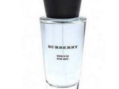 عطر مردانه بربری – تاچ مردانه(Burberry- Touch For Men)