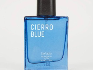 عطر و ادکلن مردانه سیرو بلو برند دفکتو  (  DEFACTO  -  CIERRO BLUE   )