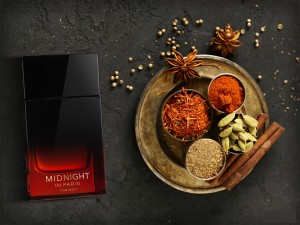 عطر و ادکلن مردانه میدنایت این پاریس برند جی پارلیس  (  GEPARLYS -  MIDNIGHT IN PARIS    )