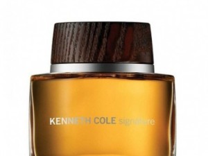 عطر و ادکلن مردانه سیگنیچر برند کنت کول  ( KENNETH COLE -  SIGNATURE FOR MEN )