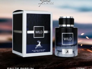 عطر و ادکلن مردانه وایلد برند لا استی ( LA STEE - WILD )