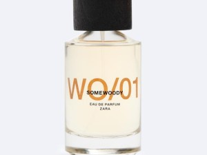 عطر و ادکلن مردانه سام وودی برند زارا ( ZARA - WO/01 SOMEWOODY )