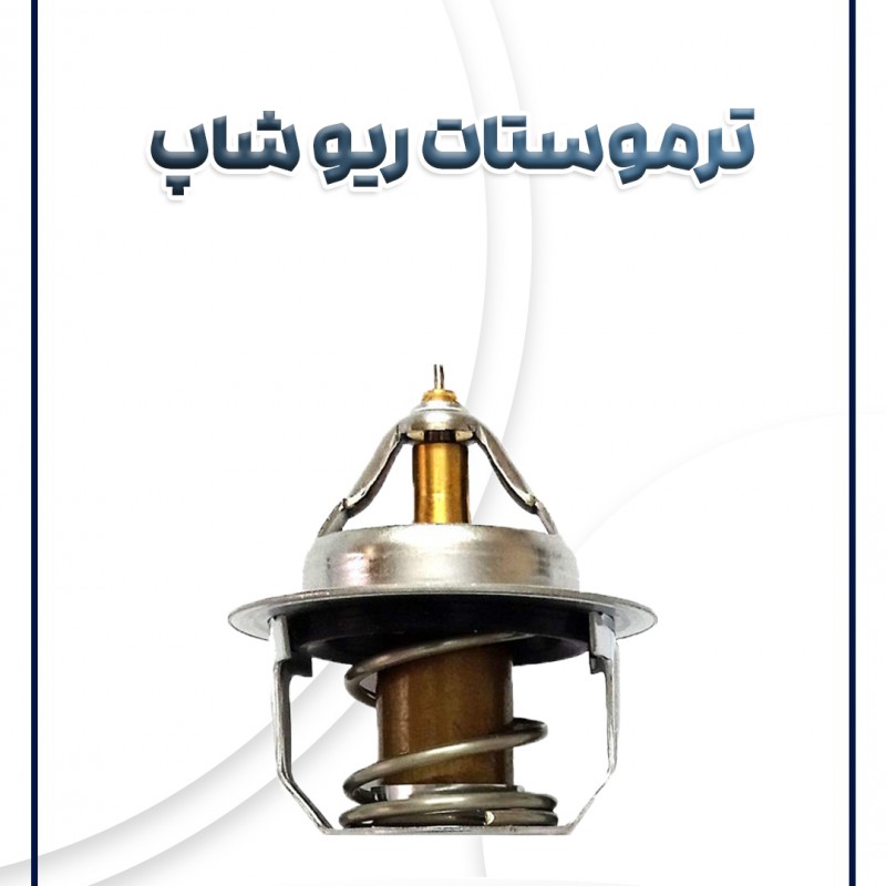 ترموستات ریو شاپ کره