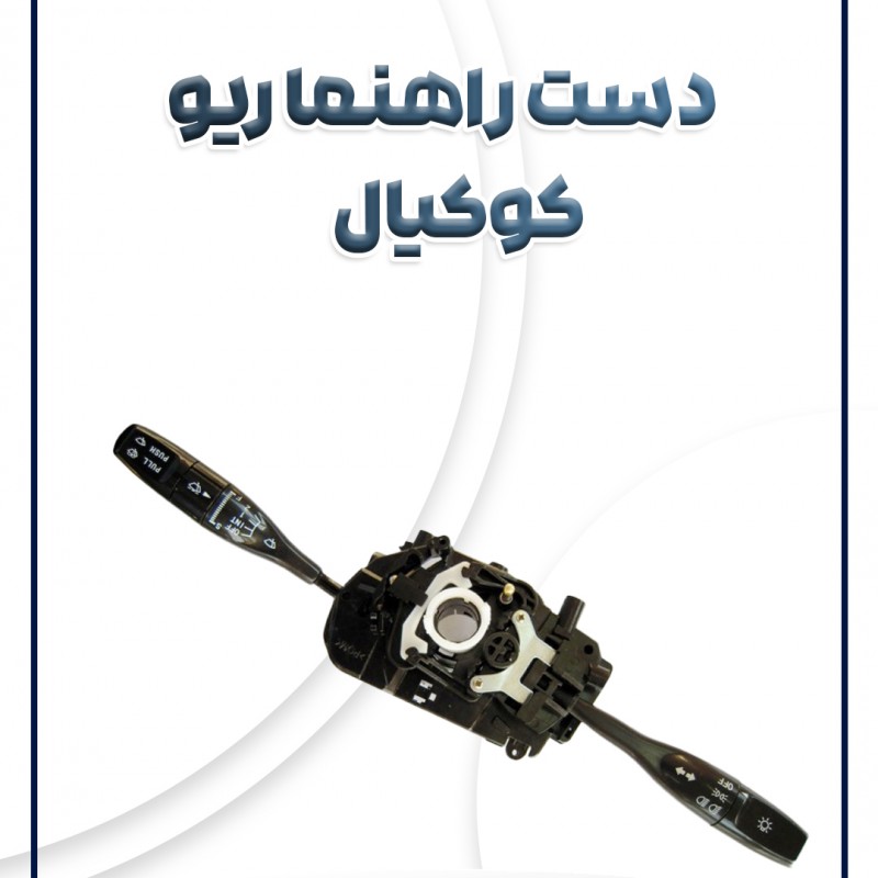 دسته راهنما کامل ریو