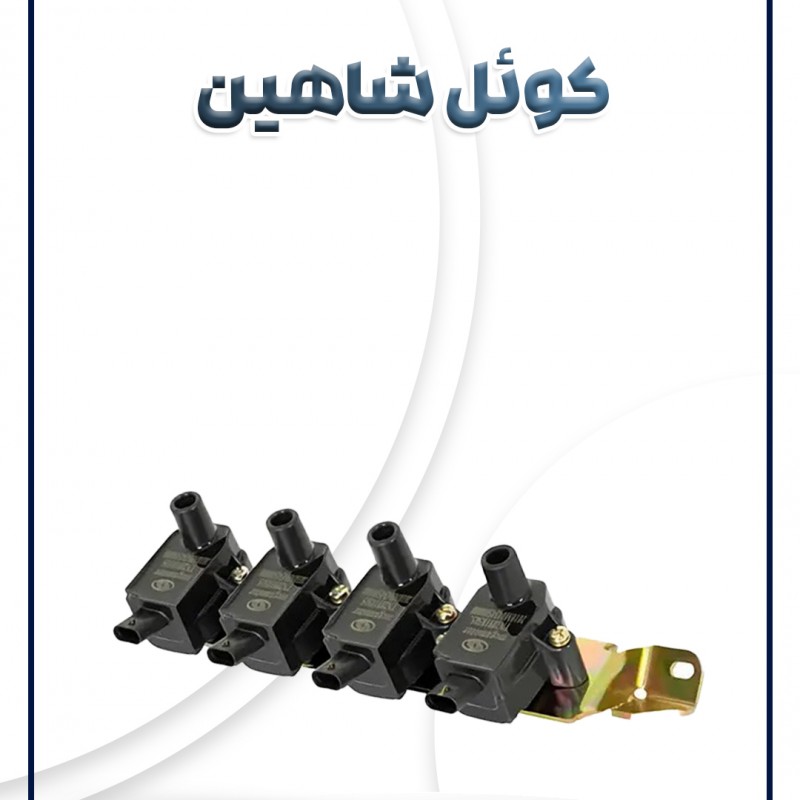 کوئل شاهین شرکتی