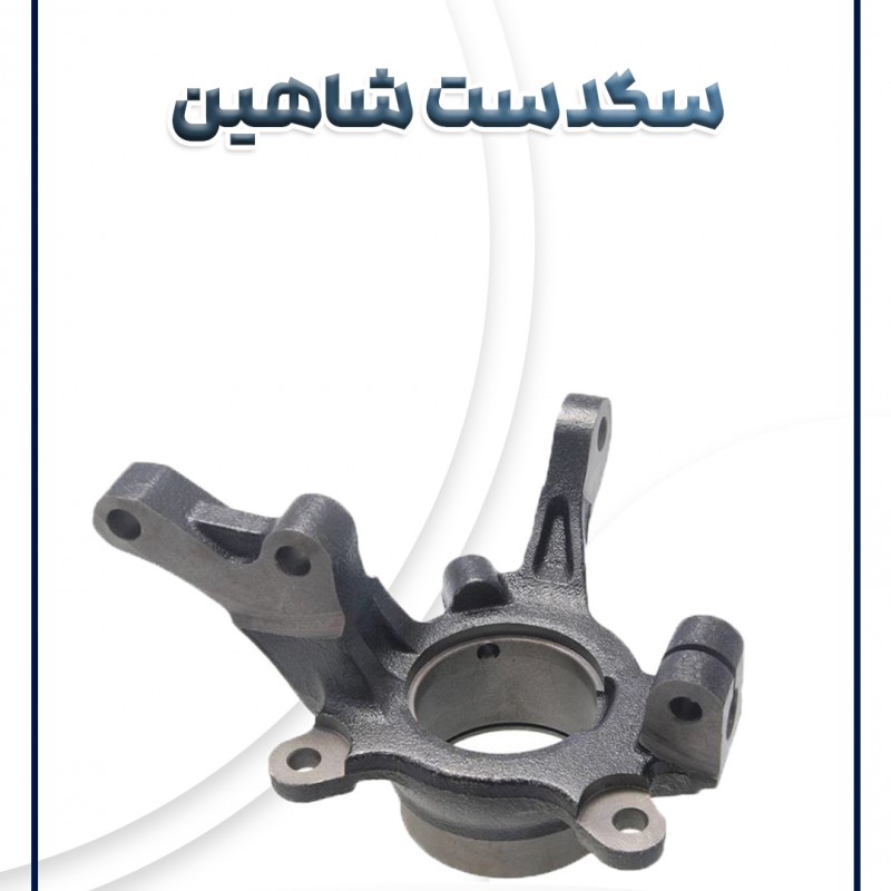 سگدست شاهین شرکتی