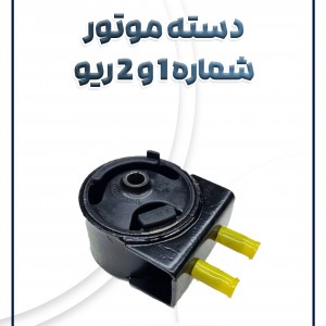 دسته موتور 1و2 ریو کیا موتور