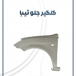 گلگیر جلو تیبا شرکتی