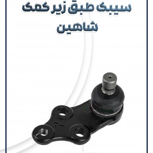 سیبک زیر کمک شاهین