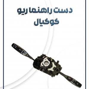 دسته راهنما کامل ریو