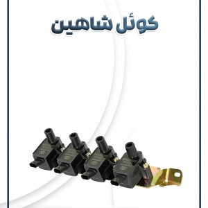 کوئل شاهین شرکتی