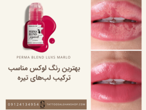 بهترین رنگ لوکس پرما مناسب ترکیب لب‌های تیره؛ راهنمای انتخاب رنگ تاتو لب حرفه‌ای