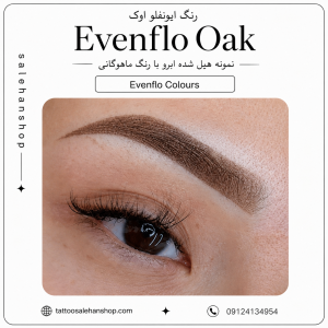 رنگ ایونفلو اوک Evenflo Oak
