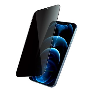 گلس محافظ صفحه 12 پرومکس گرین مدل 9H Steve Privacy Full