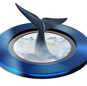 محافظ لنز دوربین 11 پرو / 11 پرومکس مدل Anti-Glare