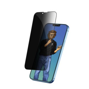 گلس محافظ صفحه 13 / 13 پرو گرین مدل 9H Steve Privacy