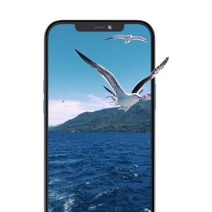 گلس محافظ صفحه 12پ پرو مکس گرین مدل 3D CURVED PRO