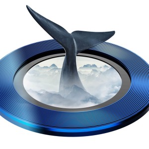 محافظ لنز دوربین آیفون 11 گرین مدل Anti-Glare