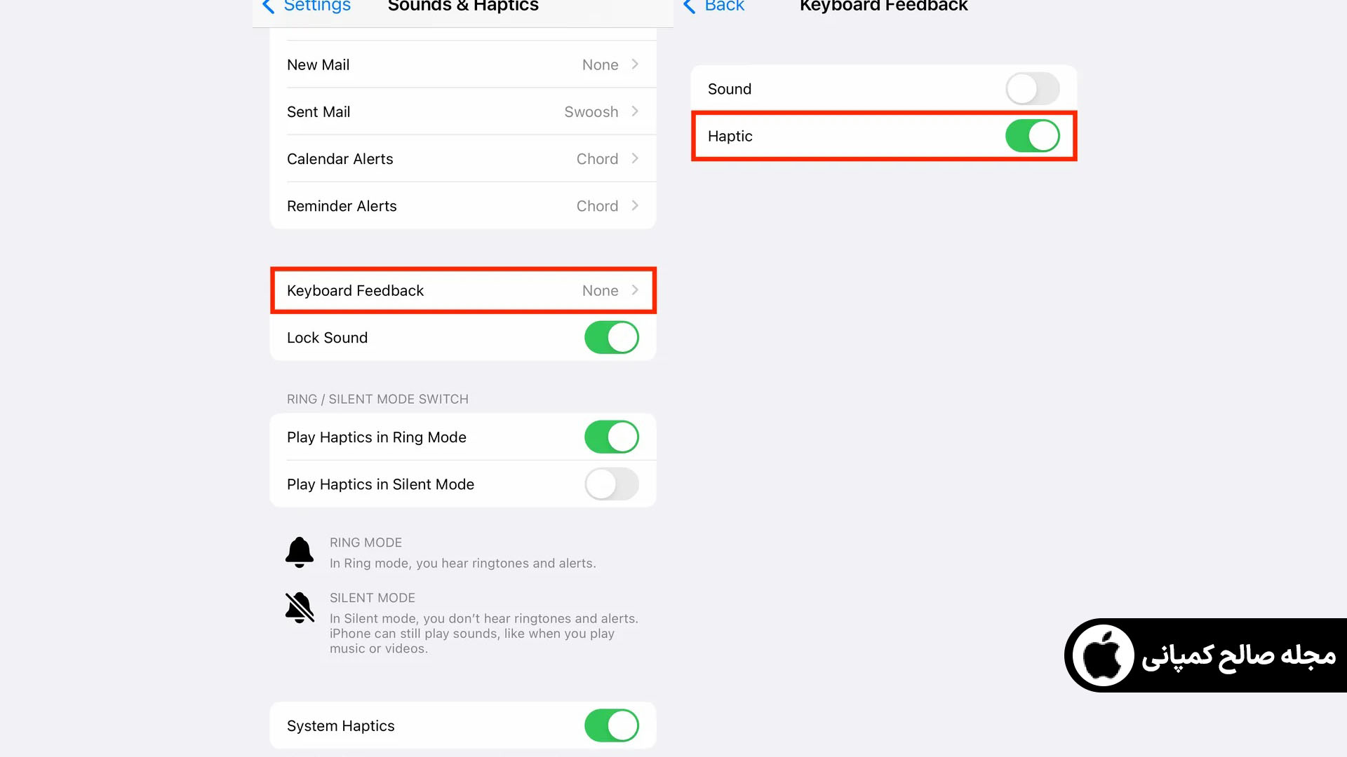 فعال کردن بازخورد لمسی کیبورد آیفون