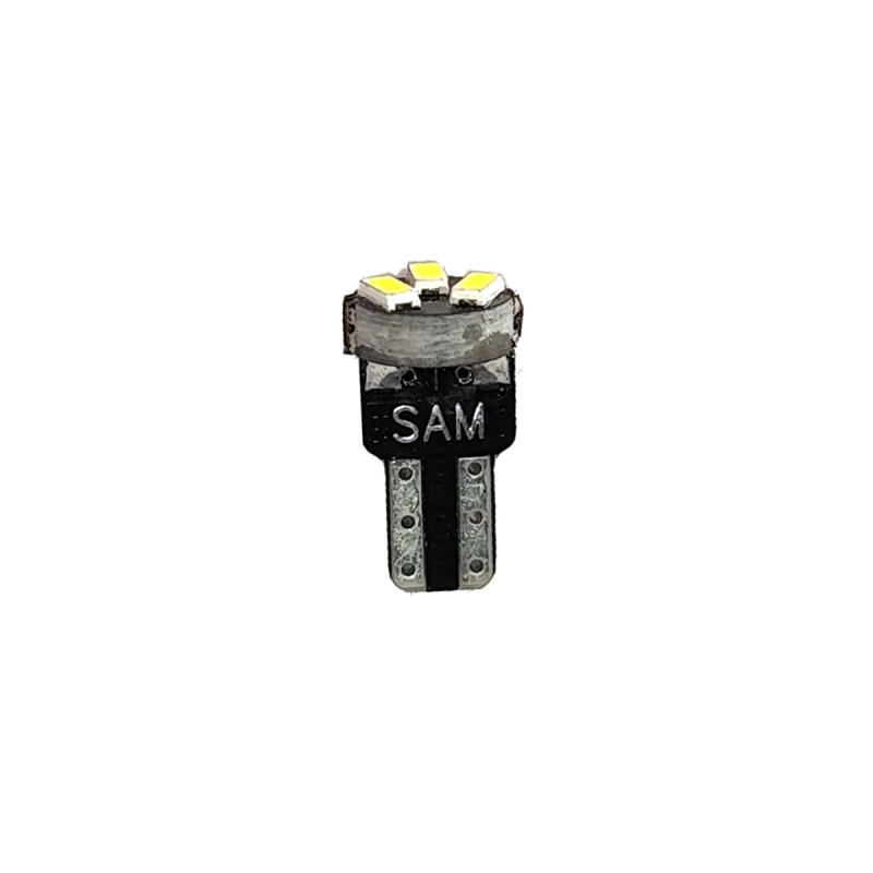 لامپ آریایی ریز یخی SAM