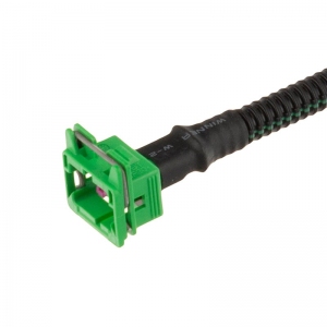 سوکت دو فیش سبز