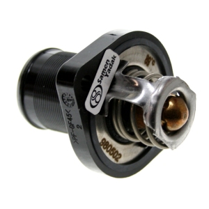 ترموستات رانا