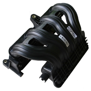 منیفولد هوا تیبا ، ساینا