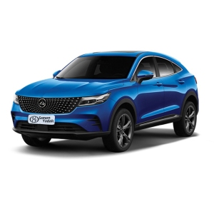 قفل رینگ دیگنیتی Dignity