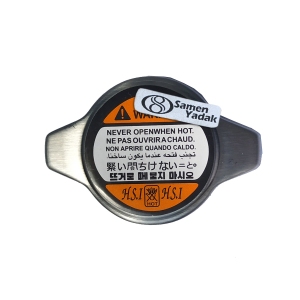 درب رادیاتور آریو