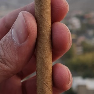 سیگار برگ ۶ نخی Cubero Mini