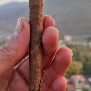 سیگار برگ ۵نخی Cubero Wild
