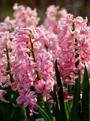 راهنمای کامل خرید لباس عید زنانه با حداقل هزینه