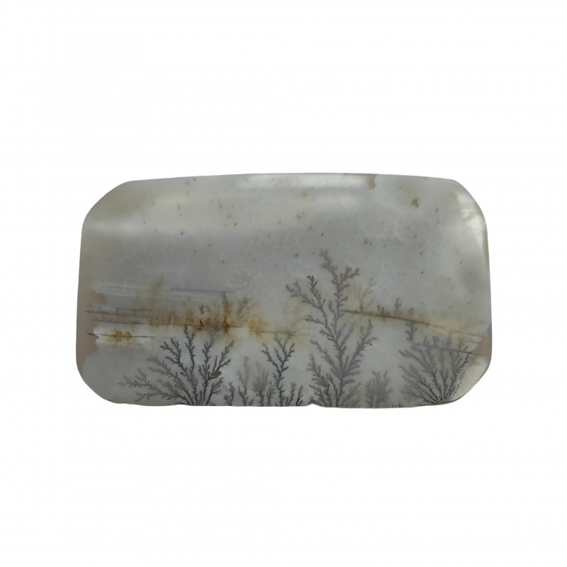 نگین شجرخاص