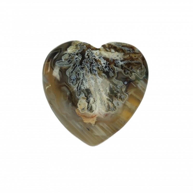 نگین شجر قلبی