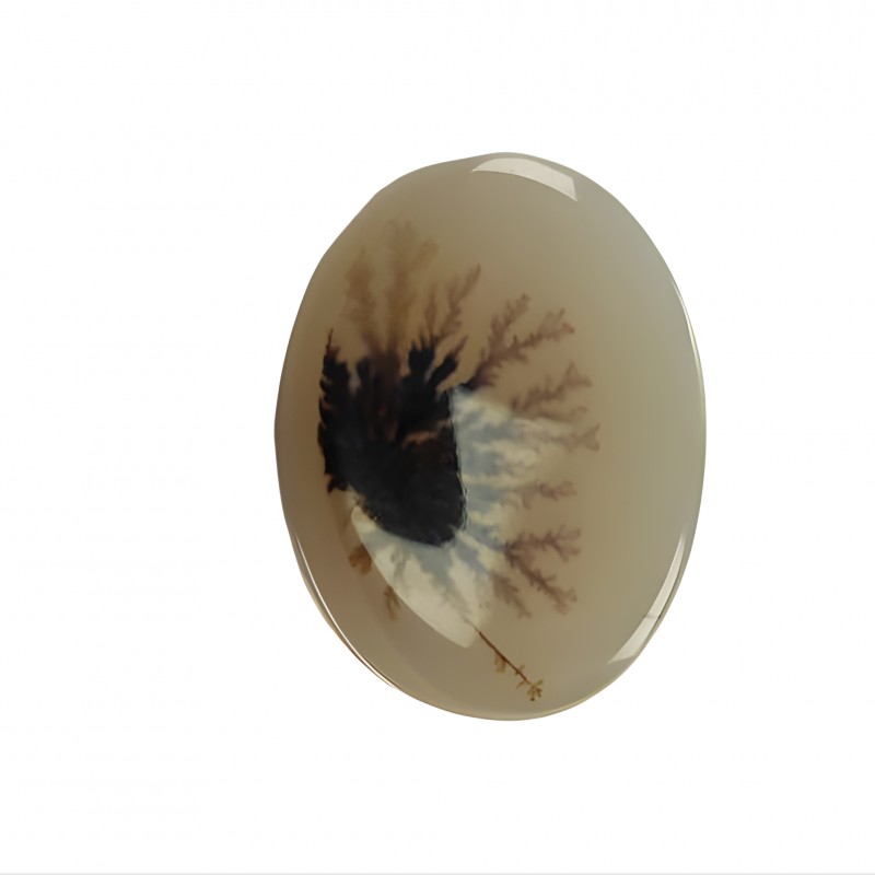 نگین شجر خاص