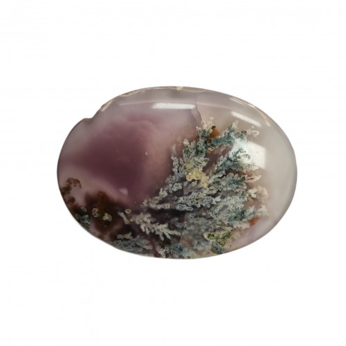 عقیق شجر درشت