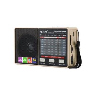 رادیو اسپیکر بلوتوثی گولون Golon RX-8866BT