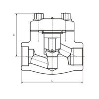 شیر یکطرفه S.W یا NPT کلاس 150 تا 800 مناسب برای جلوگیری از برگشت جریان در خطوط صنعتی فشار بالا.jpg
