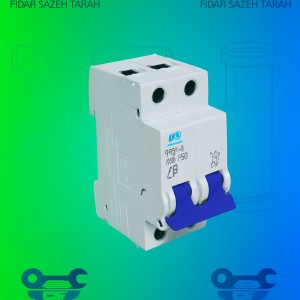 کلید مینیاتوری دو پل سری PFN-62-C | رنج 2 تا 63 آمپر